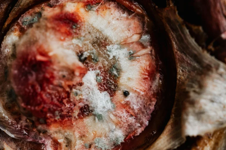 mould dangerous