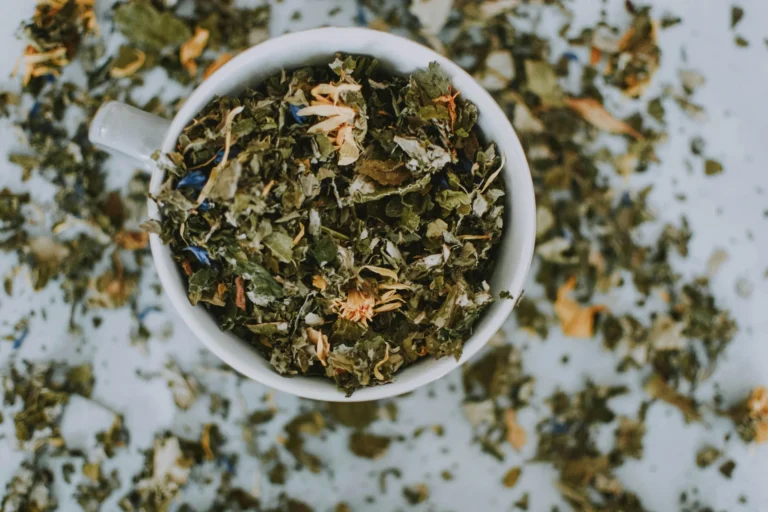 treat sibo naturally